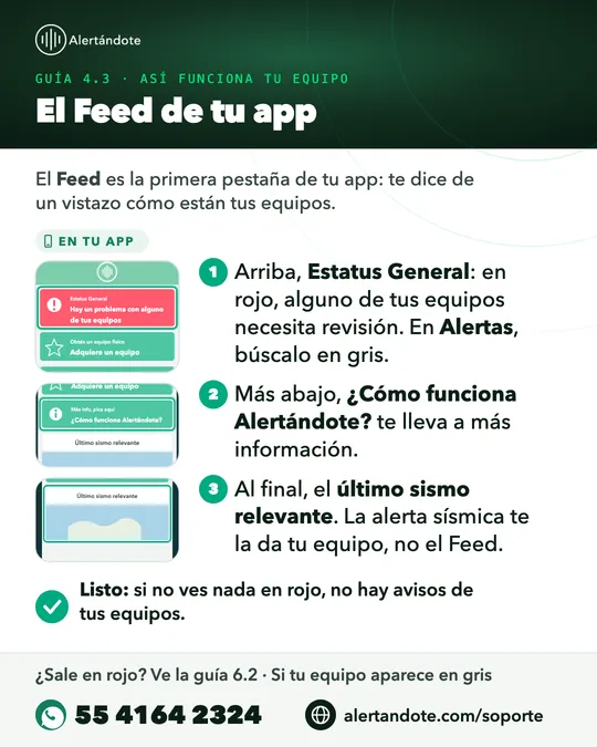 Ficha de la guía 4.3, El Feed de tu app, con sus pasos resumidos