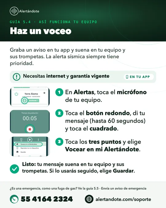 Ficha de la guía 5.4, Haz un voceo, con sus pasos resumidos