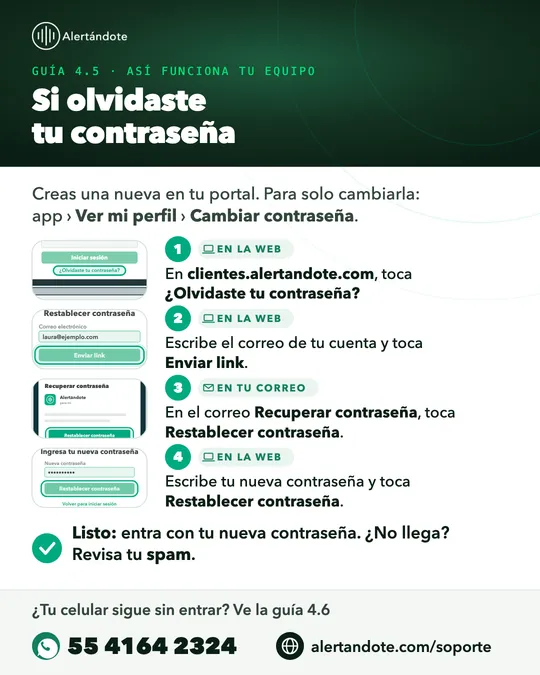 Ficha de la guía 4.5, Si olvidaste tu contraseña, con sus pasos resumidos
