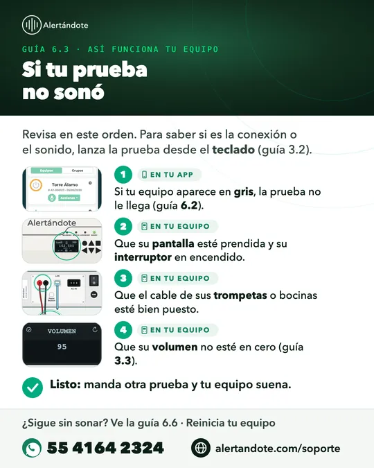 Ficha de la guía 6.3, Si tu prueba no sonó, con sus pasos resumidos